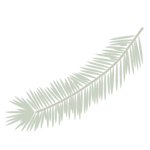Écailles