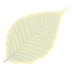 Aiguilles