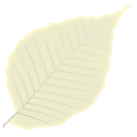 Feuilles à base symétrique