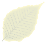 Feuilles à base symétrique
