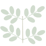 Écailles