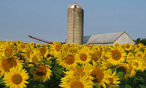 Saint-Charles-Sur-Richelieu