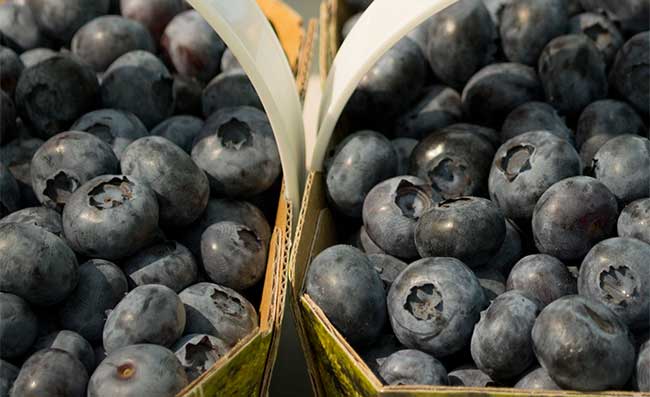 SMALL FRUIT AND JAMS