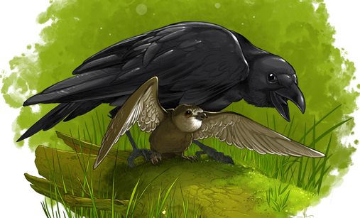 Dans mon langage d’oiseaux